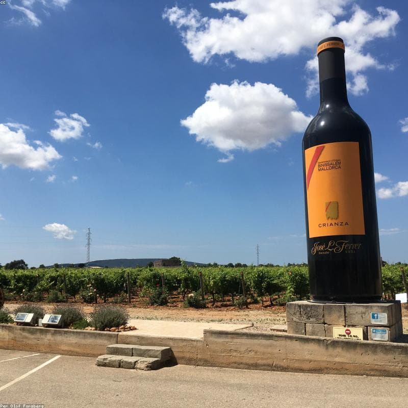 Vino tinto 750 ml